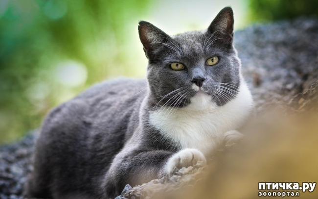 ���� 1: � ������