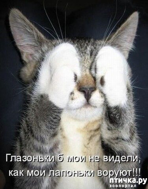 ����: ������� �����