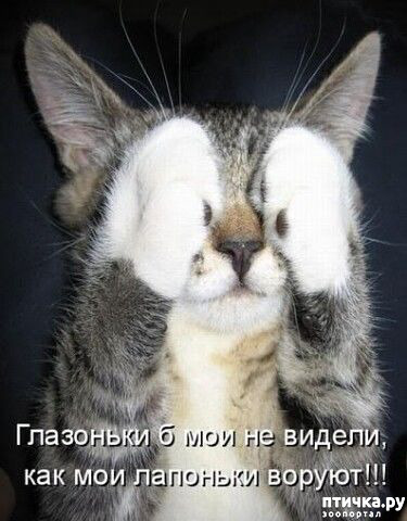 ���� 1: ������� �����