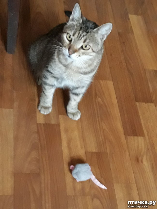 ���� 6: ���� �������� � ��� �������� ����