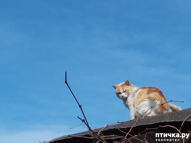 ���� 4: ���� �������� � ��� �������� ����