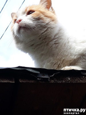 ����: ���� �������� � ��� �������� ����