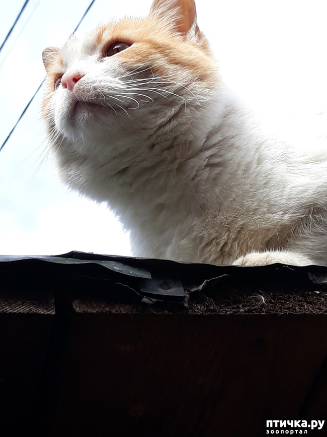 ���� 1: ���� �������� � ��� �������� ����