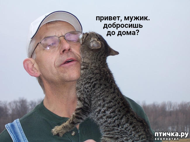 ���� 1: �� �� ����� ���� �� �������? ���� ������ �� �������.