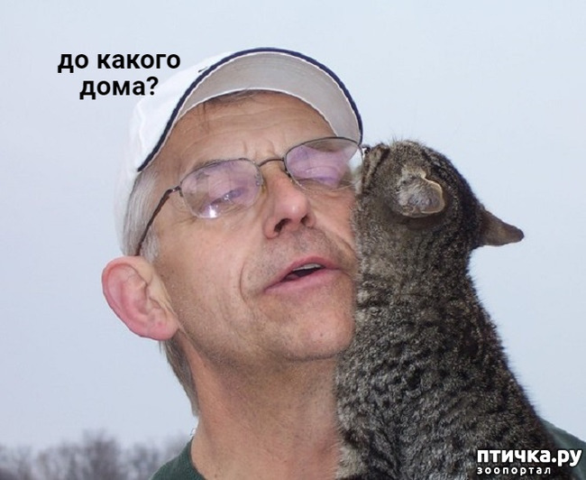 ���� 2: �� �� ����� ���� �� �������? ���� ������ �� �������.