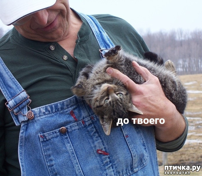 ���� 3: �� �� ����� ���� �� �������? ���� ������ �� �������.