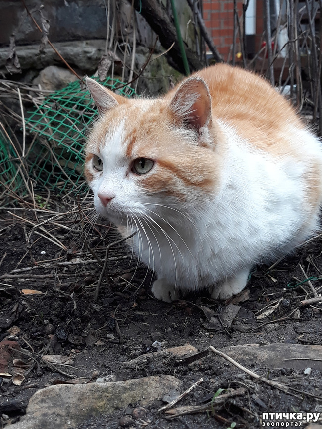 ���� 2: ���� �������� � ��� �������� ����