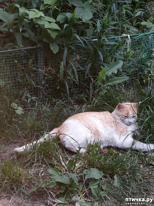 ���� 3: ���� �������� � ��� �������� ����