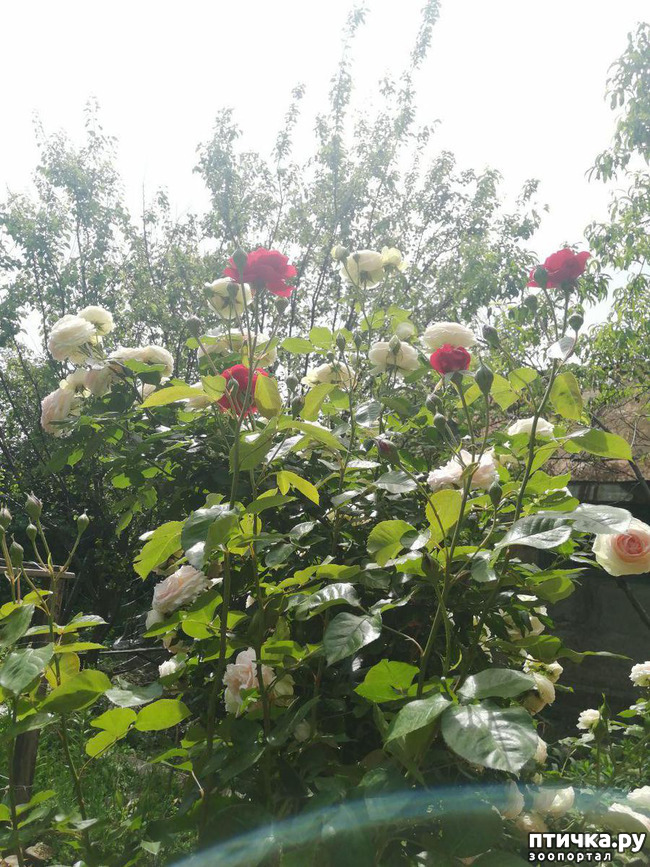 ���� 4: ��� ���������