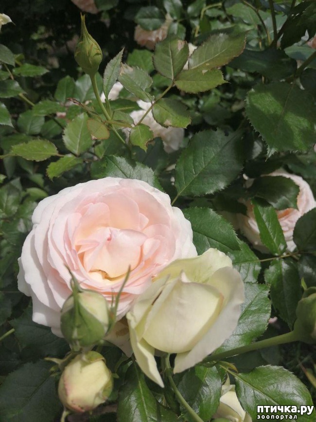 ���� 6: ��� ���������