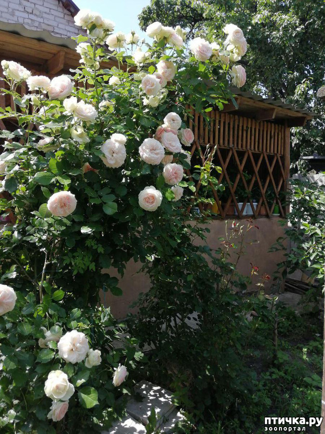 ���� 10: ��� ���������