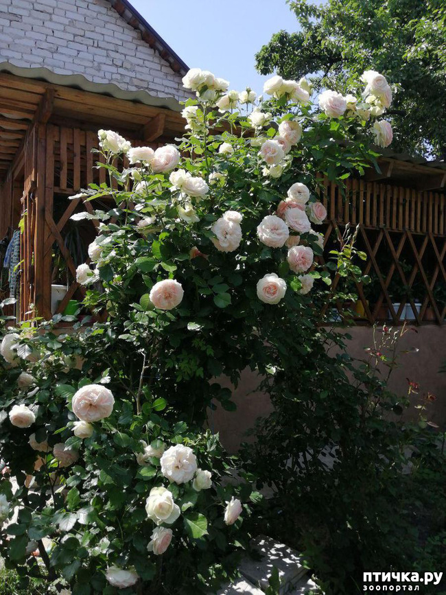 ���� 11: ��� ���������