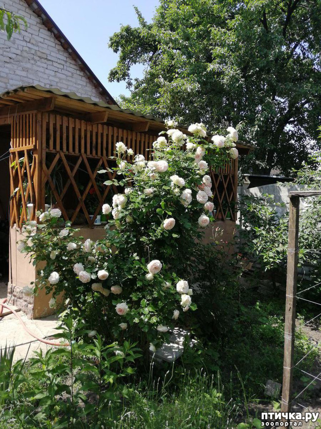 ���� 12: ��� ���������