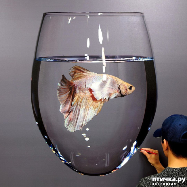 ���� 1: ����������������� ������� �������������� ��������� ���-���� ����