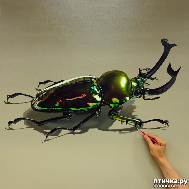 ���� 2: ����������������� ������� �������������� ��������� ���-���� ����