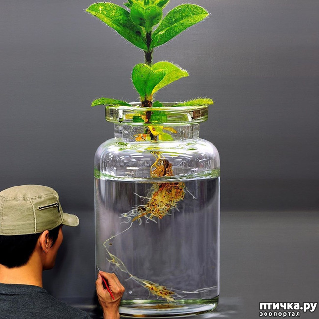 ���� 5: ����������������� ������� �������������� ��������� ���-���� ����