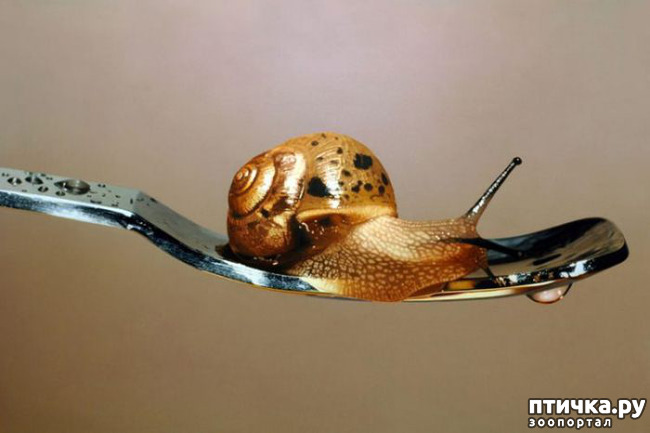 ���� 7: ����������������� ������� �������������� ��������� ���-���� ����