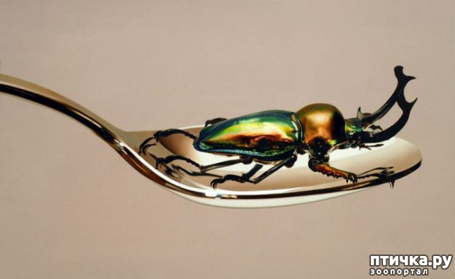 ���� 9: ����������������� ������� �������������� ��������� ���-���� ����