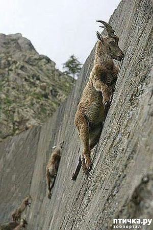 ����: ��� ������ ������ (� ������� ������)