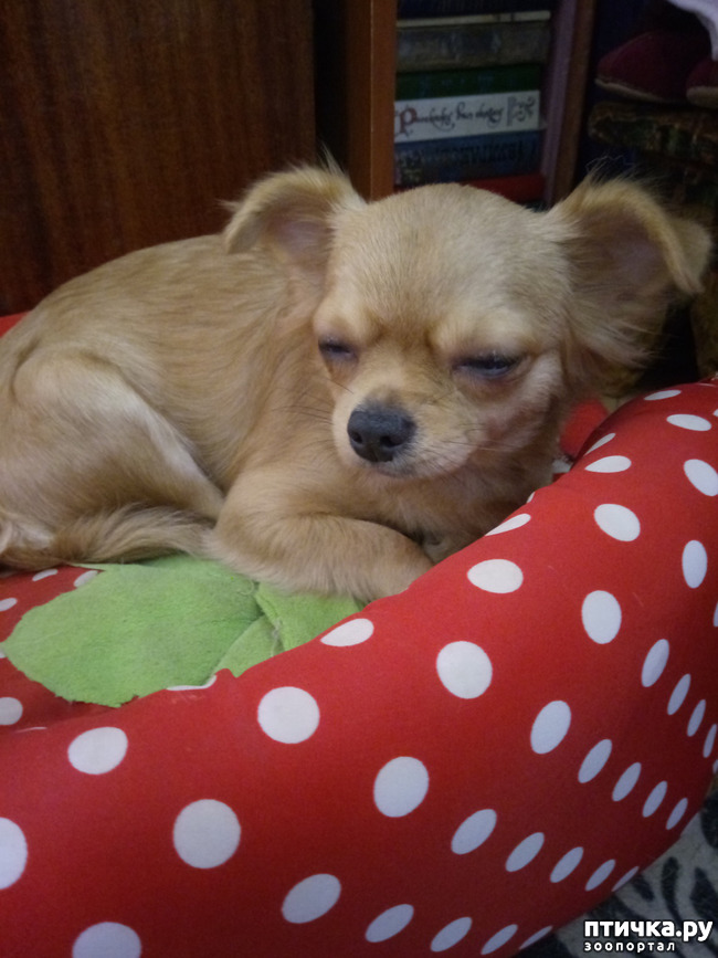 ���� 4: ��� ������� �����..