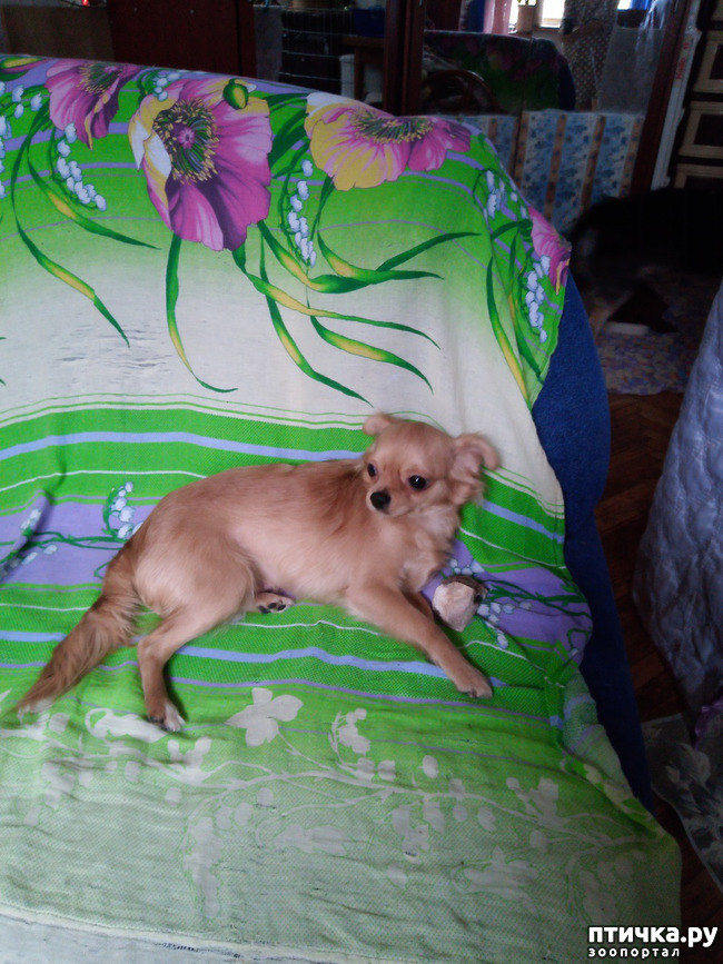 ���� 6: ��� ������� �����..