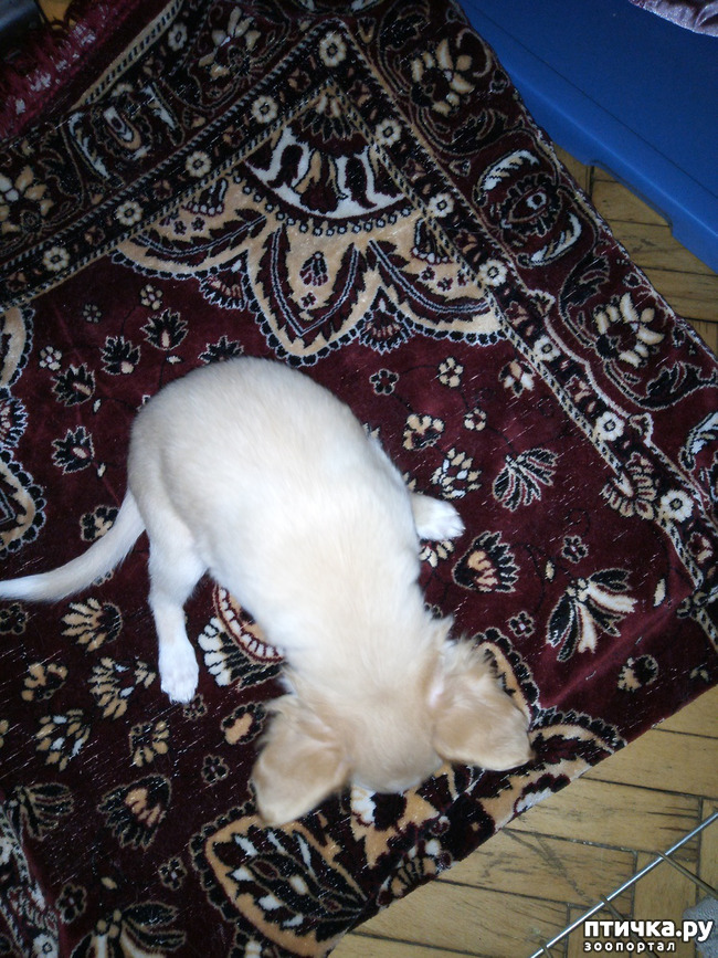 ���� 7: ��� ������� �����..