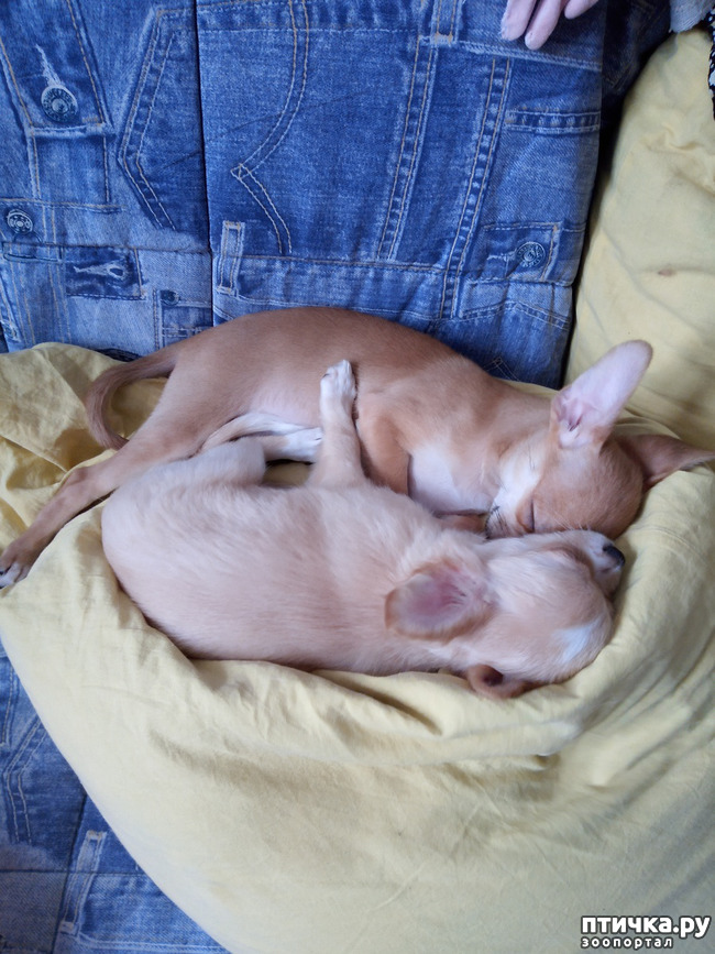 ���� 8: ��� ������� �����..