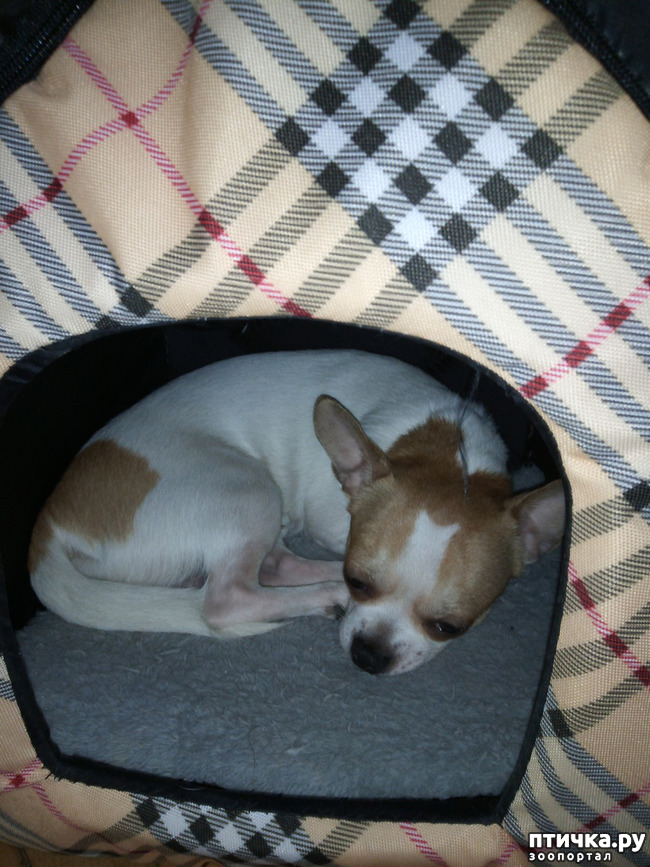 ���� 9: ��� ������� �����..