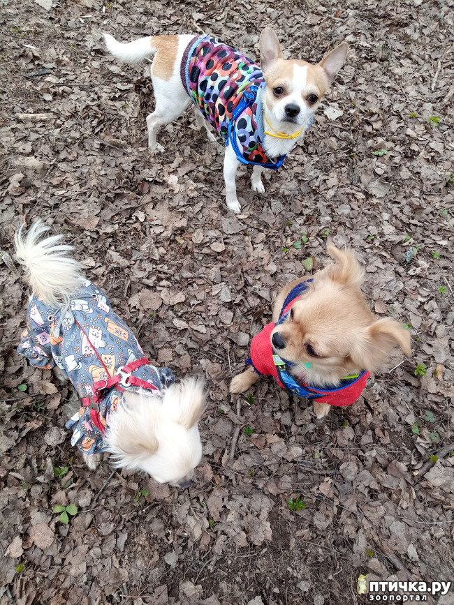 ���� 3: ��� ������� �����..