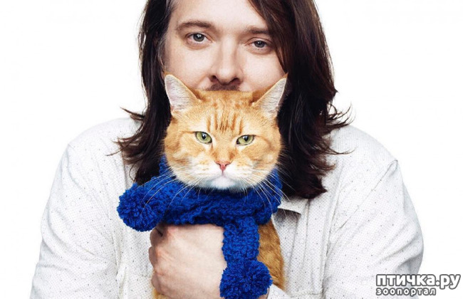 ���� 2: � ������� ���� ���������� ������� ��� ���