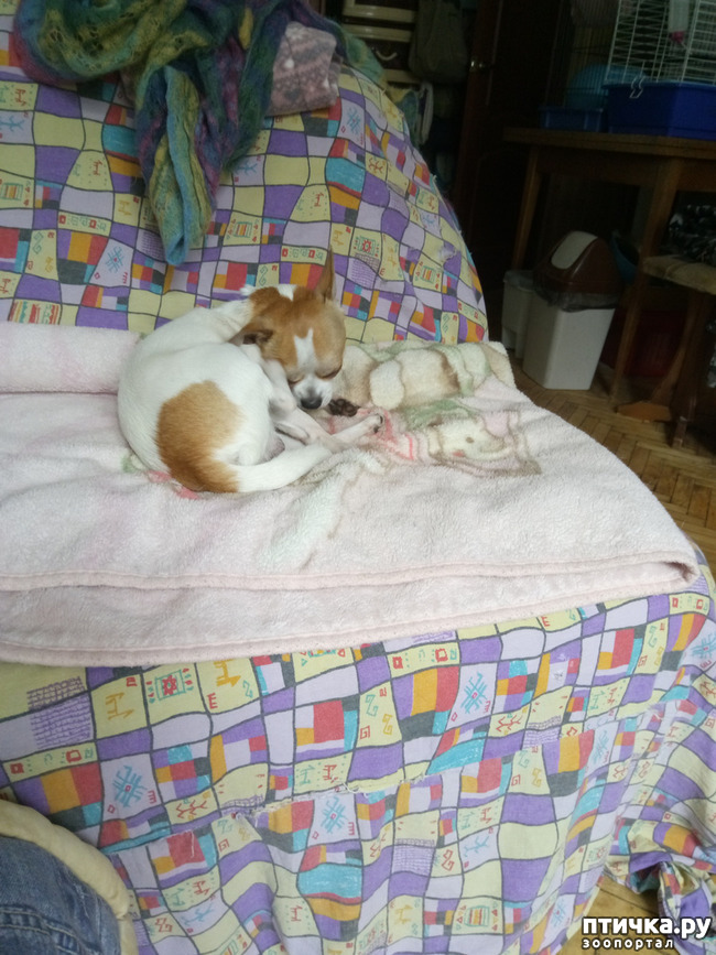 ���� 2: ��� ������� �����..