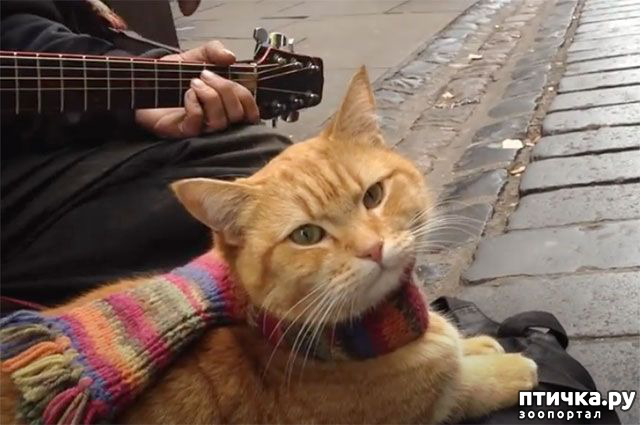 ���� 3: � ������� ���� ���������� ������� ��� ���