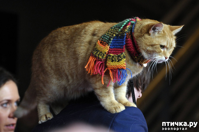 ���� 4: � ������� ���� ���������� ������� ��� ���