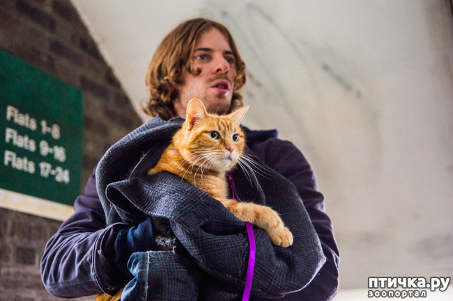 ���� 5: � ������� ���� ���������� ������� ��� ���