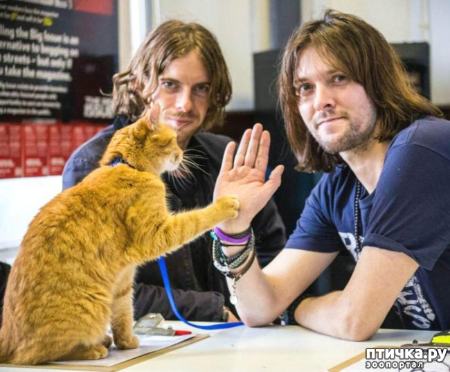 ���� 6: � ������� ���� ���������� ������� ��� ���