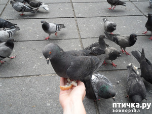 ����: ��� ��� � ��� ������ ������� �������