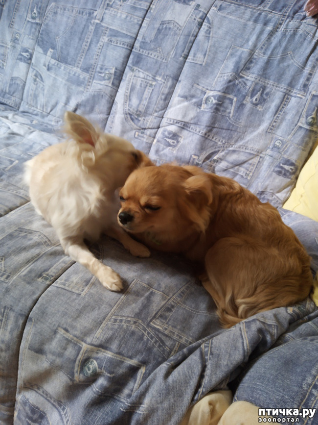 ���� 1: ��� ������� �����..