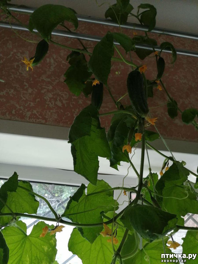 ���� 20: �������, � ����� � ��� � �������.