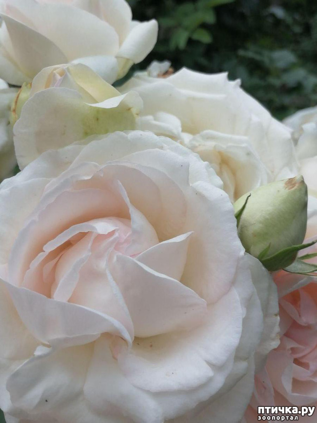 ���� 2: �������, � ����� � ��� � �������.