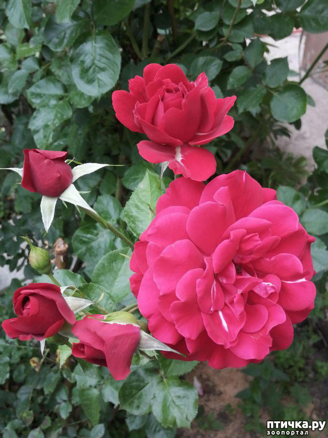 ���� 5: �������, � ����� � ��� � �������.