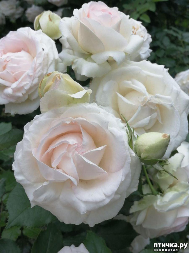 ���� 3: �������, � ����� � ��� � �������.