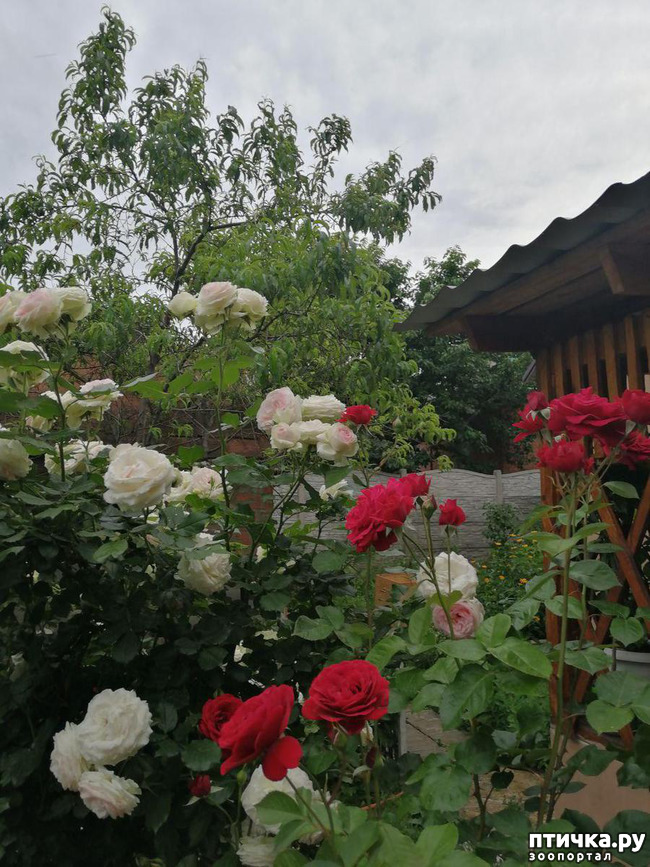 ���� 8: �������, � ����� � ��� � �������.