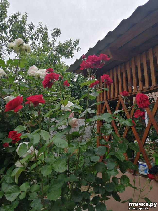 ���� 10: �������, � ����� � ��� � �������.