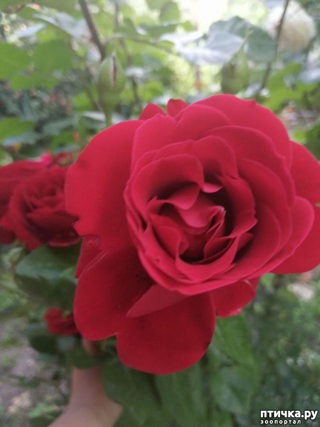 ���� 17: �������, � ����� � ��� � �������.