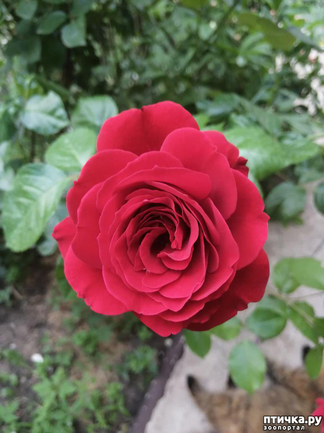 ���� 14: �������, � ����� � ��� � �������.