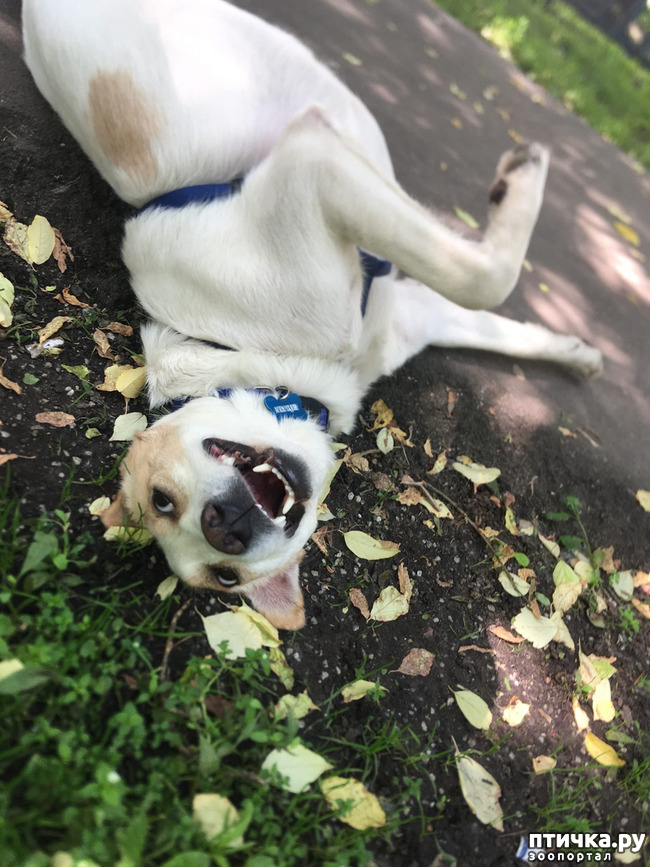 ���� 2: ����� � ��������� ������� ���� ���. ������-������� (���������) � ������ ����.