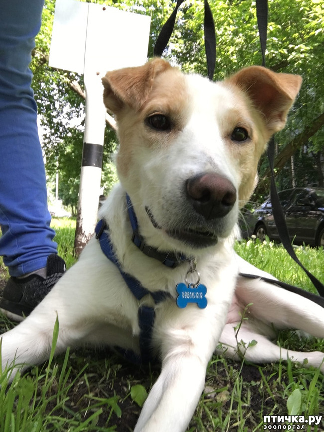 ���� 3: ����� � ��������� ������� ���� ���. ������-������� (���������) � ������ ����.