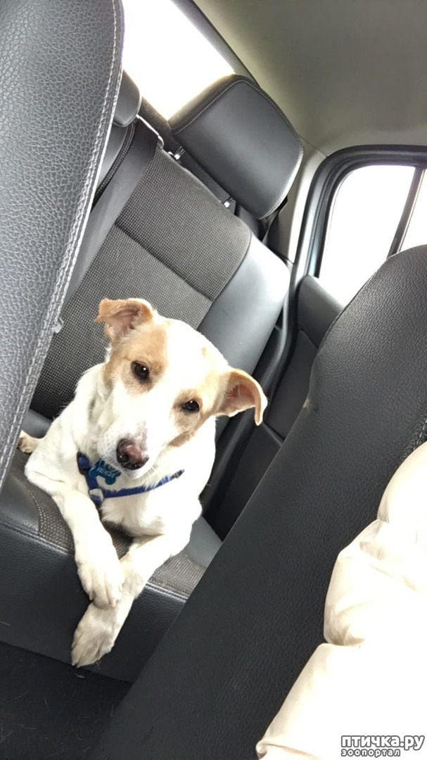 ���� 4: ����� � ��������� ������� ���� ���. ������-������� (���������) � ������ ����.