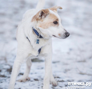 ����: ����� � ��������� ������� ���� ���. ������-������� (���������) � ������ ����.