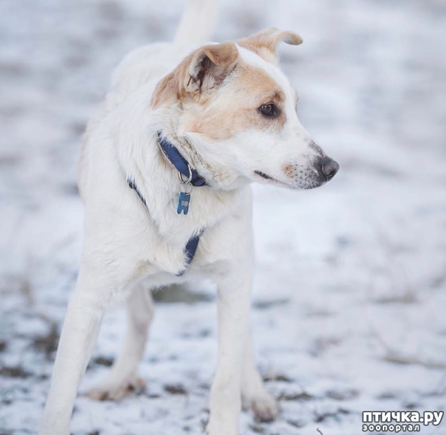 ���� 1: ����� � ��������� ������� ���� ���. ������-������� (���������) � ������ ����.